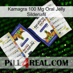 Kamagra 100Mg Oral Jelly Sildenafil 12